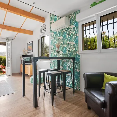 公寓 Appartement Le Patio Avec Piscine 博尔马斯·莱斯·米默萨斯